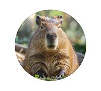 Capybara With Eyes Closed Button Pins 1 Pc, 2.4 Inch Round Button Badges Metal Personalized Picture Photo Pin Buttons Kit For Craft Supplies Christmas Diy Party Projects