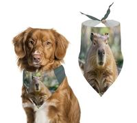 Capybara with Eyes Closed Dog Bandanas for Feeding Grooming, Triangle Pet Bibs Washable Pets Scarf for Cats & Dogs