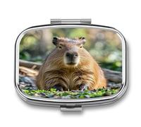 Capybara with Eyes Closed Pill Case 2 Compartments Travel Pill Organizer for Pocket Small Pill Box Portable Pill Container Metal Medication Holder to Hold Vitamin Fish Oil Supplement