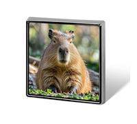 Capybara with Eyes Closed Square Lapel Pins Backpack Pin Cute Brooch Decoration Brooches for Women Men Fashion Button Badges for Hat Backpacks Purses Jackets Shirt Suit
