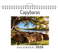 Capybaras: Wandkalender 2026, Kalender DIN A4 quer, Monatskalender im Querformat mit Kalendarium, das perfekte Geschenk