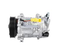 Car AC Compressor SD6C12 AC Compressor For Peugeot 207 307 408 106 For Citroen C2 C4 9824286580 9824284580 9670318880 9678656080 9678038980 9819711680