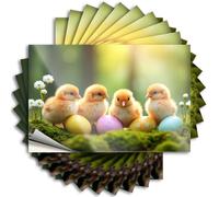 Car Accessories Four Chicks with Colorful Easter Eggs in A Garden. Stickers 10Pcs Stickers for Car Bumper Sticker(12X18CM)