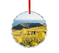 Car Accessories Rapeseed Fields Printed Rearview Mirror Pendants Suitable for Decorating Christmas Trees Offices Fireplaces Car Interiors Or Anywhere You Want to Decorate