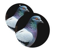 Car Air Freshener 2 Pcs Air Freshener for Car Aromatherapy Tablets Pigeon Hanging Fragrance Scented Cards Funny Scented Hanging Sheet for Bedroom Wardrobe Shoe Cabinet
