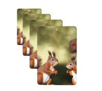 Car Air Freshener 4 Pcs Air Freshener for Car Aromatherapy Tablets Cute Squirrels Hanging Fragrance Scented Cards Funny Scented Hanging Sheet for Bedroom Wardrobe Shoe Cabinet