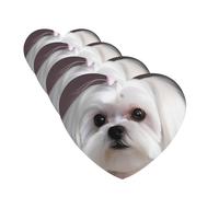 Car Air Freshener 4 Pcs Air Freshener for Car Aromatherapy Tablets Lovely Maltese Dog Hanging Fragrance Scented Cards Funny Scented Hanging Sheet for Bedroom Wardrobe Shoe Cabinet