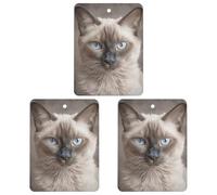Car Air Freshener Beautiful Siamese Cat Hanging Aromatherapy Tablets for Men Women 3 Pcs Square