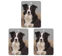 Car Air Freshener Border Collie Hanging Aromatherapy Tablets for Men Women 3 Pcs Square