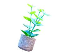 Car Air Freshener Clip, Artificial Plant Car Air Freshener Succulent Clip Forcar Vent Decor Interior Accessories 4inch StyleA, Vent Decoration