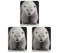Car Air Freshener Polar Bear Hanging Aromatherapy Tablets for Men Women 3 Pcs Square