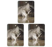 Car Air Freshener Sleeping Cat Hanging Aromatherapy Tablets for Men Women 3 Pcs Square