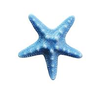 Car air freshener vent clip, starfish car diffuser vent clip, suitable for men and women(Blue)