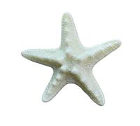 Car air freshener vent clip, starfish car diffuser vent clip, suitable for men and women(Pure White)