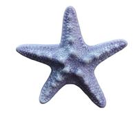 Car air freshener vent clip, starfish car diffuser vent clip, suitable for men and women(Purple)