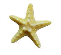 Car air freshener vent clip, starfish car diffuser vent clip, suitable for men and women(Yellow)