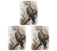 Car Air Fresheners 3 Pack Hanging Fresheners Watercolor of Hawk Sitting Printed Rearview Mirror Aromatherapy Tablets Interior Bathroom Bedroom Decor Lavender Fragrance