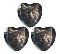 Car Air Fresheners Cards Set of 3 Hanging Scented Cards Car Aromatherapy Tablets Rearview Mirror Pendant Frightened Kitten in Car Car Fresheners for Car Interior Bathroom Bedroom Shoe Cabinet