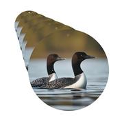 Car Air Fresheners Cards Set of 6 Hanging Scented Cards Car Aromatherapy Tablets Rearview Mirror Pendant Loon Birds Car Fresheners for Car Interior Bathroom Bedroom Shoe Cabinet