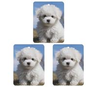 Car Air Fresheners Hanging Air Freshener Bichon Frise Dog Fragrance Scented Cards Car Aromatherapy Tablets Interior Mirror Pendant for Wardrobe Bathroom Square Black