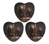 Car Air Fresheners Hanging Air Freshener Brown Labrador Retriever Fragrance Scented Cards Car Aromatherapy Tablets Interior Mirror Pendant for Wardrobe Bathroom Love form Black