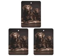 Car Air Fresheners Hanging Air Freshener Brown Labrador Retriever Fragrance Scented Cards Car Aromatherapy Tablets Interior Mirror Pendant for Wardrobe Bathroom Square Gray