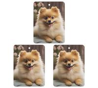 Car Air Fresheners Hanging Air Freshener Cute Pomeranian Dog Fragrance Scented Cards Car Aromatherapy Tablets Interior Mirror Pendant for Wardrobe Bathroom Square Black