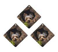 Car Air Fresheners Set of 3 Hanging Air Freshener A Little Yorkshire Terrier Car Aromatherapy Tablets Hanging Fragrance Scented Cards for Rearview Mirror Wardrobe Shoe Cabinet Rhombus White