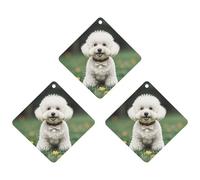 Car Air Fresheners Set of 3 Hanging Air Freshener Bichon Frise Dog on The Grass Car Aromatherapy Tablets Hanging Fragrance Scented Cards for Rearview Mirror Wardrobe Shoe Cabinet Rhombus White