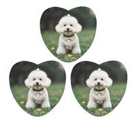 Car Air Fresheners Set of 3 Hanging Air Freshener Bichon Frise Dog on The Grass Car Aromatherapy Tablets Hanging Fragrance Scented Cards for Rearview Mirror Wardrobe Shoe Cabinet Love form Gray