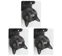 Car Air Fresheners Set of 3 Hanging Air Freshener Black Cat Lies Down Car Aromatherapy Tablets Hanging Fragrance Scented Cards for Rearview Mirror Wardrobe Shoe Cabinet Square Black