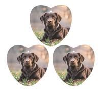 Car Air Fresheners Set of 3 Hanging Air Freshener Brown Labrador Retriever Car Aromatherapy Tablets Hanging Fragrance Scented Cards for Rearview Mirror Wardrobe Shoe Cabinet Love form Gray