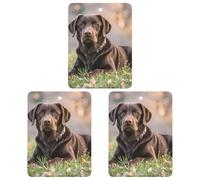 Car Air Fresheners Set of 3 Hanging Air Freshener Brown Labrador Retriever Car Aromatherapy Tablets Hanging Fragrance Scented Cards for Rearview Mirror Wardrobe Shoe Cabinet Square White