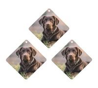 Car Air Fresheners Set of 3 Hanging Air Freshener Brown Labrador Retriever Car Aromatherapy Tablets Hanging Fragrance Scented Cards for Rearview Mirror Wardrobe Shoe Cabinet Rhombus Gray