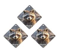 Car Air Fresheners Set of 3 Hanging Air Freshener Cute Raccoon Car Aromatherapy Tablets Hanging Fragrance Scented Cards for Rearview Mirror Wardrobe Shoe Cabinet Rhombus White