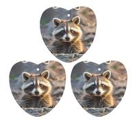 Car Air Fresheners Set of 3 Hanging Air Freshener Cute Raccoon Car Aromatherapy Tablets Hanging Fragrance Scented Cards for Rearview Mirror Wardrobe Shoe Cabinet Love form Black