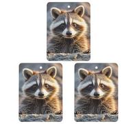 Car Air Fresheners Set of 3 Hanging Air Freshener Cute Raccoon Car Aromatherapy Tablets Hanging Fragrance Scented Cards for Rearview Mirror Wardrobe Shoe Cabinet Square Black