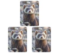 Car Air Fresheners Set of 3 Hanging Air Freshener Hairy Ferret Car Aromatherapy Tablets Hanging Fragrance Scented Cards for Rearview Mirror Wardrobe Shoe Cabinet Square White