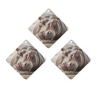 Car Air Fresheners Set of 3 Hanging Air Freshener Hippopotamus in Water Car Aromatherapy Tablets Hanging Fragrance Scented Cards for Rearview Mirror Wardrobe Shoe Cabinet Rhombus Black