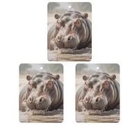 Car Air Fresheners Set of 3 Hanging Air Freshener Hippopotamus in Water Car Aromatherapy Tablets Hanging Fragrance Scented Cards for Rearview Mirror Wardrobe Shoe Cabinet Square Gray