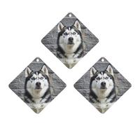 Car Air Fresheners Set of 3 Hanging Air Freshener Husky Dog Car Aromatherapy Tablets Hanging Fragrance Scented Cards for Rearview Mirror Wardrobe Shoe Cabinet Rhombus White