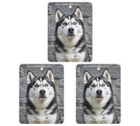 Car Air Fresheners Set of 3 Hanging Air Freshener Husky Dog Car Aromatherapy Tablets Hanging Fragrance Scented Cards for Rearview Mirror Wardrobe Shoe Cabinet Square Gray