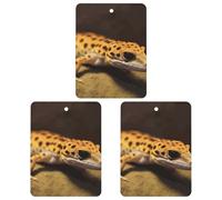 Car Air Fresheners Set of 3 Hanging Air Freshener Leopard Little Gecko Car Aromatherapy Tablets Hanging Fragrance Scented Cards for Rearview Mirror Wardrobe Shoe Cabinet Square Black