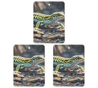 Car Air Fresheners Set of 3 Hanging Air Freshener Leopard Little Gecko Car Aromatherapy Tablets Hanging Fragrance Scented Cards for Rearview Mirror Wardrobe Shoe Cabinet Square Black