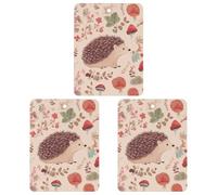 Car Air Fresheners Set of 3 Hanging Air Freshener Lovely Hedgehog Car Aromatherapy Tablets Hanging Fragrance Scented Cards for Rearview Mirror Wardrobe Shoe Cabinet Square Black