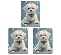 Car Air Fresheners Set of 3 Hanging Air Freshener Lovely Maltese Dog Car Aromatherapy Tablets Hanging Fragrance Scented Cards for Rearview Mirror Wardrobe Shoe Cabinet Square Gray