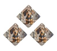 Car Air Fresheners Set of 3 Hanging Air Freshener Pad Dachshund Dog Car Aromatherapy Tablets Hanging Fragrance Scented Cards for Rearview Mirror Wardrobe Shoe Cabinet Rhombus White
