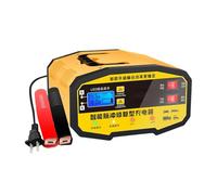 Car Battery Charger 12V 24V Trickle Battery Charger