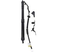 Car Boot Gas Springs 68910-09010 68920-09010 Liftgate Power Hatch Lift Support Opener Shock For Toyota For RAV4 2014-2018 Electric Tailgate Gas Struts Rear Boot Gas Lift Struts(Lh)