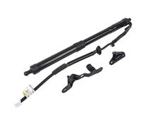 Car Boot Gas Springs Rear Trunk Liftgate Power Hatch Lift Support Opener For Toyota For RAV4 2013-2018 68910-09010 Electric Tailgate Gas Struts(Lh)